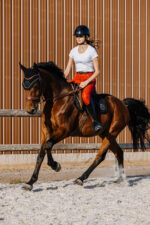 T-shirt EQUITHÈME - Claire- - Image 4