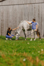 EQUITHÈME I love you - Rosalie - T-shirt - Image 2