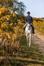 EQUITHÈME - Hervé - Sweatshirt - Image 12