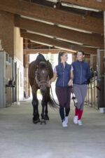 EQUITHÈME Hybrid Jacket -Olivia- - Image 7