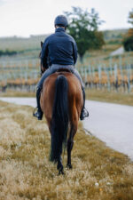 PRO SERIES - Turin - Jacket - Image 11