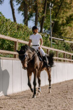 EQUITHÈME Breeches – Beverly - Image 7