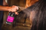 CARR & DAY & MARTIN Mane and Tail Spray Canter® - Image 3