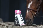 CARNOGEL® High-Performance Sports Gel for Equine Use 1000 ml - Image 2