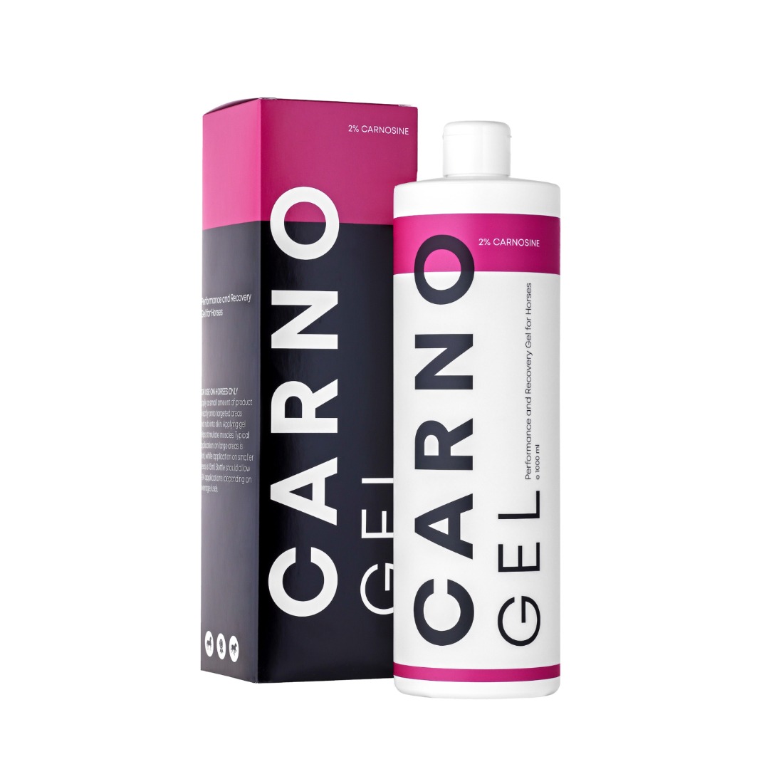 Carno-gel CARNOGEL® High-Performance Sports Gel for Equine Use 1000 ml - Image 1