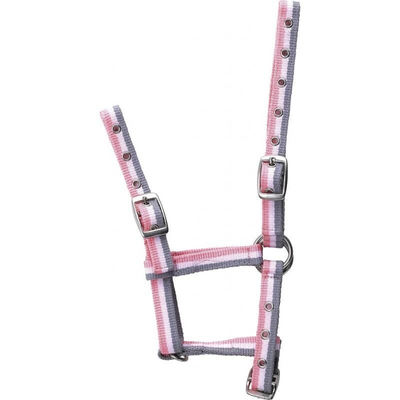 NORTON_5100373338025336314 NORTON Adjustable Foal Halter - Image 1