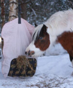 HEICA Slow feeder Haynet SAGGY - Image 2