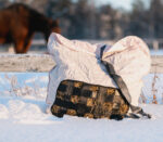 HEICA Slow feeder Haynet SAGGY - Image 3