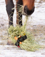 HEICA Tuck'n'Treat – Engaging Feeding Enrichment for Horses - Image 3