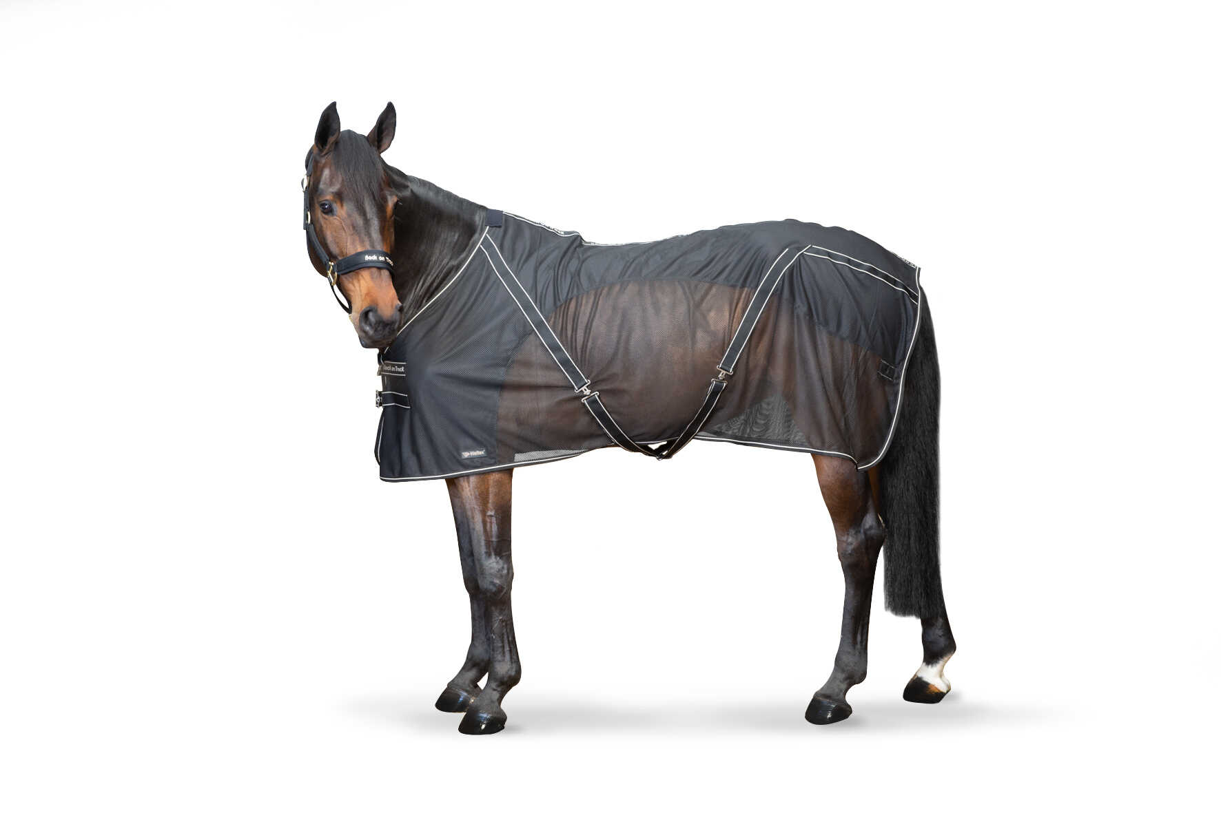 BACK ON TRACK - Sienna - Blanket