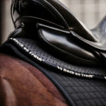 Back protector BACK ON TRACK® - Aurora - Image 2