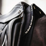 Back protector BACK ON TRACK® - Aurora - Image 3