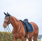 DressurSaddle pad BACK ON TRACK® - Night Collection - Image 3