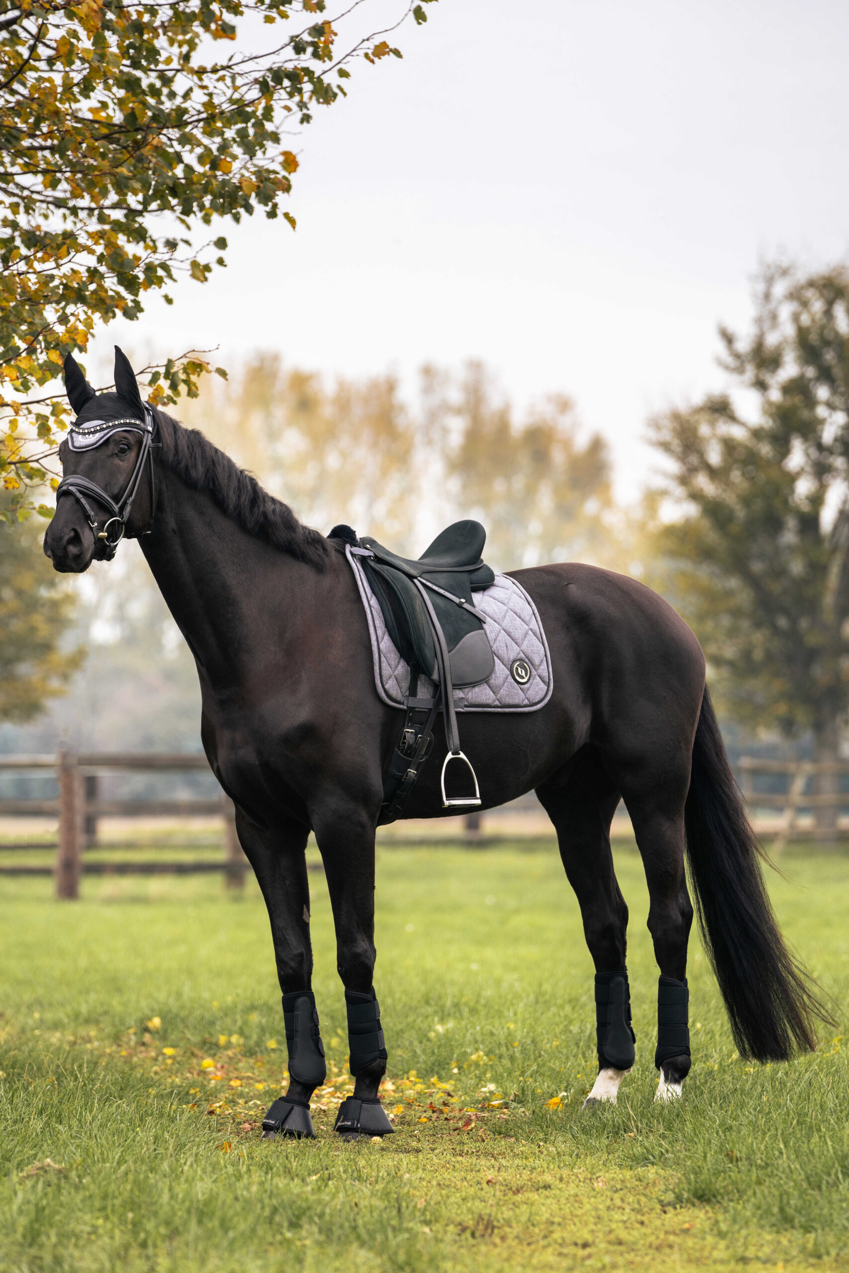 b23530103_ambi_1 Saddle pad BACK ON TRACK® - Haze Collection - Image 1
