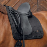 CSO Saddle pad BACK ON TRACK® - Deep Nights