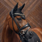 DressurSaddle pad BACK ON TRACK® - Deep Nights - Image 2