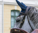 Fly veil BACK ON TRACK® - Airflow - Image 2