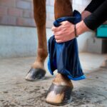 BACK ON TRACK® Cooling Towel - Image 5