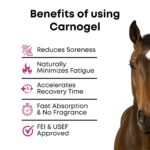 CARNOGEL® High-Performance Sports Gel for Equine Use 1000 ml - Image 5