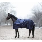 LAMI-CELL Turnout rug - Field Master