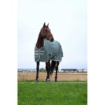 EQUITHÈME - TYREX 1200D - Recycled Turnout Rug - Image 3