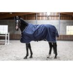 LAMI-CELL Turnout Blanket - Field Master