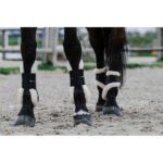 EQUITHÈME - Boa - Fetlock boots - Image 4
