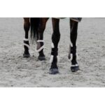 EQUITHÈME - Boa - Tendon boots - Image 5