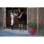 EQUITHÈME - Brussels - Polo Shirt - Image 8