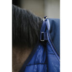 EQUITHÈME Classic 1200D - Turnout Rug - Image 5