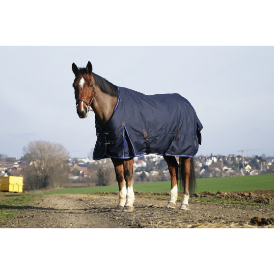 equitheme-classic-1200d-rug-standard EQUITHÈME Classic 1200D - Turnout Rug - Image 1