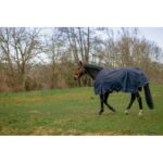 EQUITHÈME Outdoor Sheet 0g  – Anatomic Aisance 1200D - Image 4