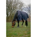 EQUITHÈME Outdoor Sheet 0g  – Anatomic Aisance 1200D