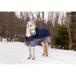 EQUITHÈME blanket - TYREX 600D - Belly belt - Image 5
