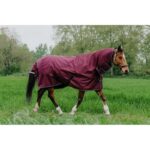 EQUITHÈME - TYREX 1200D - Combo Rug - Image 5