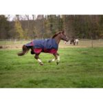 EQUITHÈME - TYREX 1200D - Turnout Rug - Image 4
