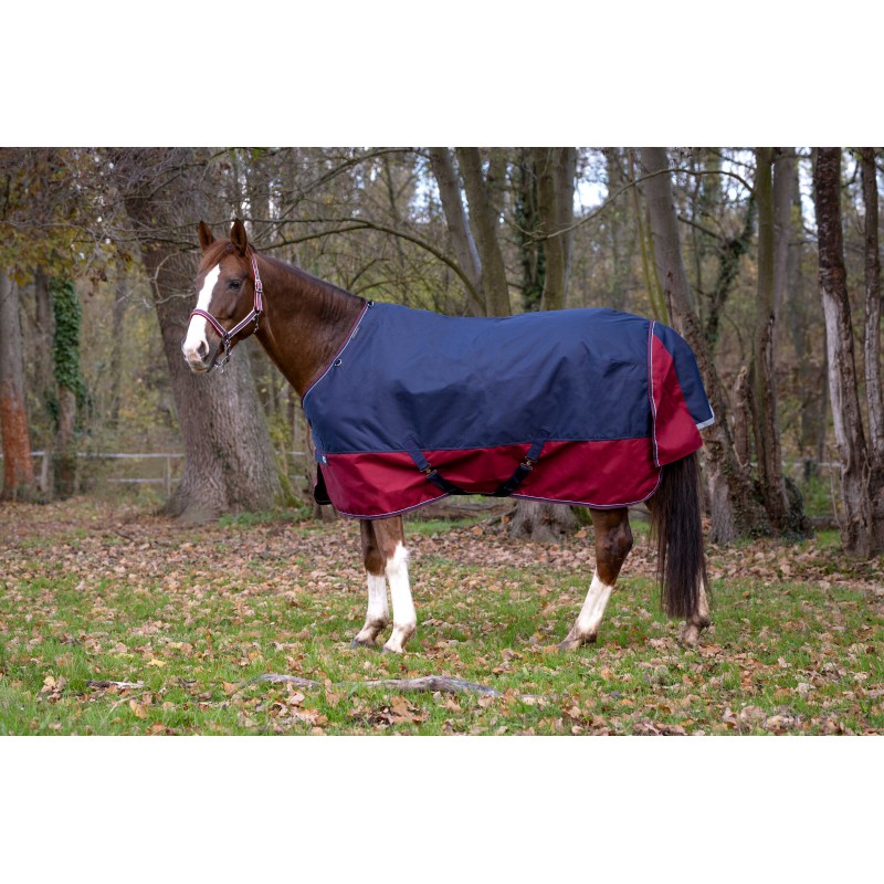 equitheme-tyrex-1200d-turnout-rug (4) EQUITHÈME - TYREX 1200D - Turnout Rug - Image 1