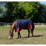 EQUITHÈME - TYREX 1200D - Turnout Rug - Image 2