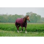 EQUITHÈME - TYREX 1200D - Turnout Rug - Image 7
