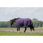 EQUITHÈME - TYREX Aisance 600D - Turnout Rug - Image 6