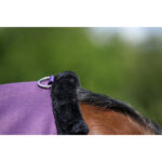 EQUITHÈME - TYREX Aisance 600D - Turnout Rug - Image 2