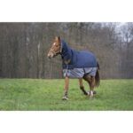 EQUITHÈME - TYREX 600D - Combo Rug - Image 7