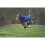 EQUITHÈME - TYREX 600D - Combo Rug - Image 6