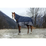 EQUITHÈME - TYREX 600D - Combo Rug - Image 5