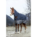 EQUITHÈME - TYREX 600D - Combo Rug - Image 4