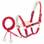 EQUITHÈME Halter and lead set- Xmas