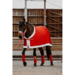 EQUITHÈME Halter and lead set- Xmas - Image 2