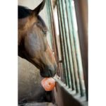 HIPPOTONIC Himalayan Salt Stone 1,5 kg. - Image 2