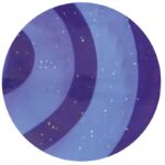 HIPPOTONIC Oval glittered rubber Curry Comb - Image 2