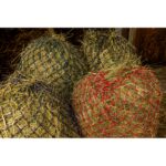 HIPPOTONIC -Zari- Hay net - Image 3